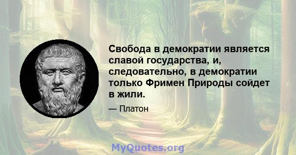 Свобода в демократии является славой государства, и, следовательно, в демократии только Фримен Природы сойдет в жили.