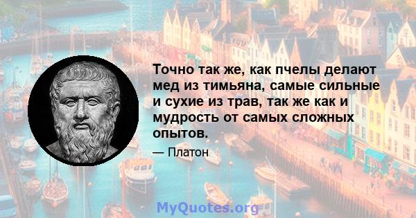 Точно так же, как пчелы делают мед из тимьяна, самые сильные и сухие из трав, так же как и мудрость от самых сложных опытов.