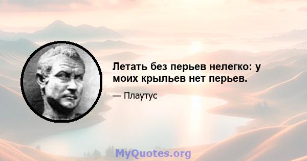 Летать без перьев нелегко: у моих крыльев нет перьев.