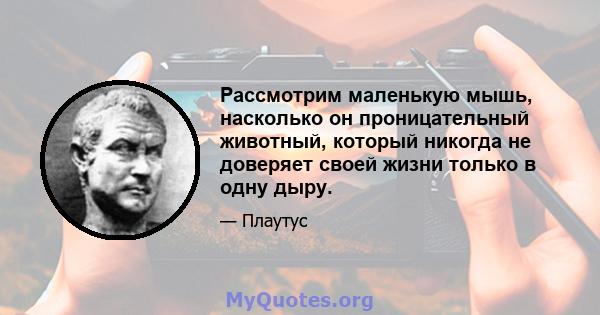 Рассмотрим маленькую мышь, насколько он проницательный животный, который никогда не доверяет своей жизни только в одну дыру.