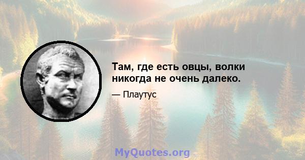 Там, где есть овцы, волки никогда не очень далеко.