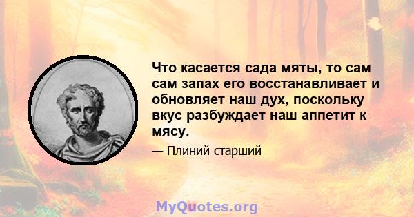 Что касается сада мяты, то сам сам запах его восстанавливает и обновляет наш дух, поскольку вкус разбуждает наш аппетит к мясу.