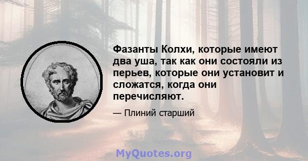 Фазанты Колхи, которые имеют два уша, так как они состояли из перьев, которые они установит и сложатся, когда они перечисляют.