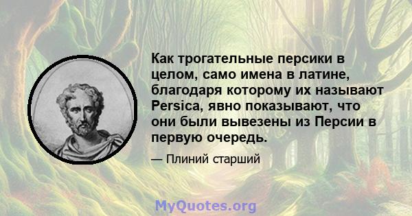 Как трогательные персики в целом, само имена в латине, благодаря которому их называют Persica, явно показывают, что они были вывезены из Персии в первую очередь.