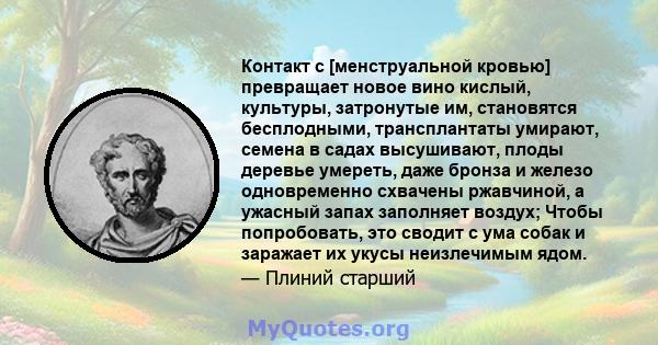 Контакт с [менструальной кровью] превращает новое вино кислый, культуры, затронутые им, становятся бесплодными, трансплантаты умирают, семена в садах высушивают, плоды деревье умереть, даже бронза и железо одновременно