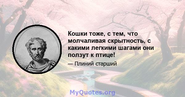 Кошки тоже, с тем, что молчаливая скрытность, с какими легкими шагами они ползут к птице!