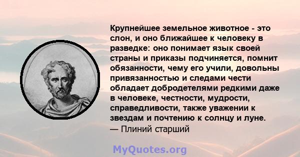 Крупнейшее земельное животное - это слон, и оно ближайшее к человеку в разведке: оно понимает язык своей страны и приказы подчиняется, помнит обязанности, чему его учили, довольны привязанностью и следами чести обладает 