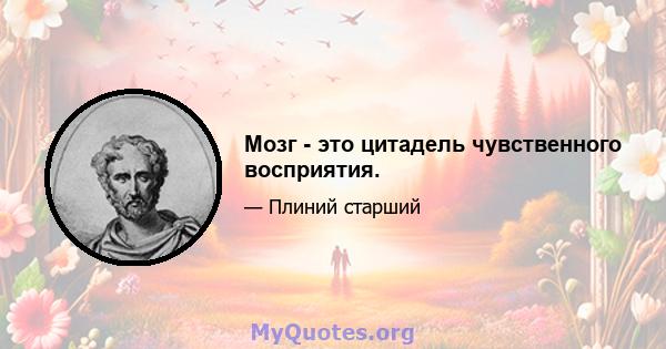 Мозг - это цитадель чувственного восприятия.