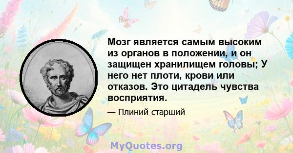 Мозг является самым высоким из органов в положении, и он защищен хранилищем головы; У него нет плоти, крови или отказов. Это цитадель чувства восприятия.