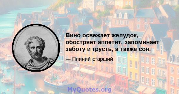 Вино освежает желудок, обостряет аппетит, запоминает заботу и грусть, а также сон.