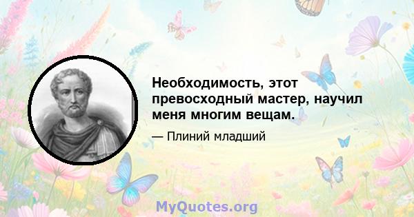 Необходимость, этот превосходный мастер, научил меня многим вещам.