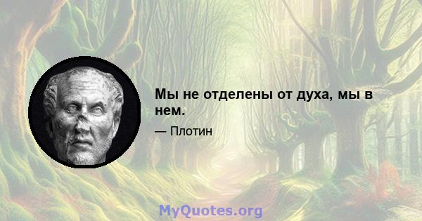 Мы не отделены от духа, мы в нем.