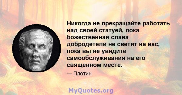 Никогда не прекращайте работать над своей статуей, пока божественная слава добродетели не светит на вас, пока вы не увидите самообслуживания на его священном месте.