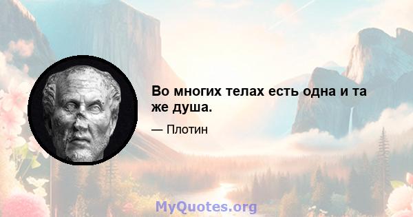 Во многих телах есть одна и та же душа.