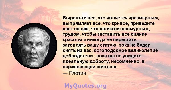 Вырежьте все, что является чрезмерным, выпрямляет все, что кривое, приведите свет на все, что является пасмурным, трудом, чтобы заставить все сияние красоты и никогда не перестать затоплять вашу статую, пока не будет