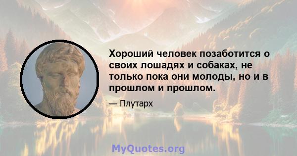 Хороший человек позаботится о своих лошадях и собаках, не только пока они молоды, но и в прошлом и прошлом.