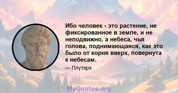 Ибо человек - это растение, не фиксированное в земле, и не неподвижно, а небеса, чья голова, поднимающаяся, как это было от корня вверх, повернута к небесам.