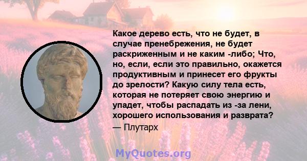 Какое дерево есть, что не будет, в случае пренебрежения, не будет раскриженным и не каким -либо; Что, но, если, если это правильно, окажется продуктивным и принесет его фрукты до зрелости? Какую силу тела есть, которая