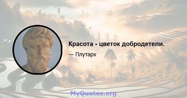 Красота - цветок добродетели.