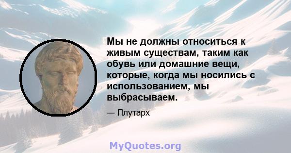 Мы не должны относиться к живым существам, таким как обувь или домашние вещи, которые, когда мы носились с использованием, мы выбрасываем.