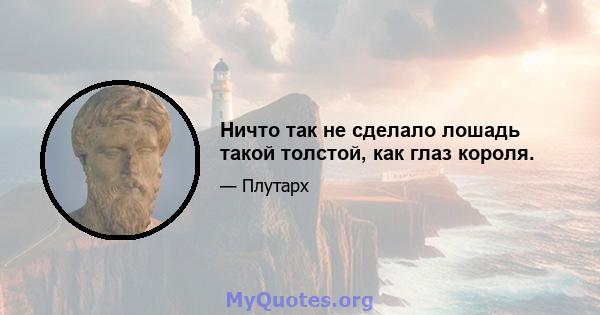 Ничто так не сделало лошадь такой толстой, как глаз короля.