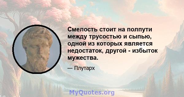 Смелость стоит на полпути между трусостью и сыпью, одной из которых является недостаток, другой - избыток мужества.