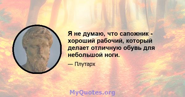 Я не думаю, что сапожник - хороший рабочий, который делает отличную обувь для небольшой ноги.