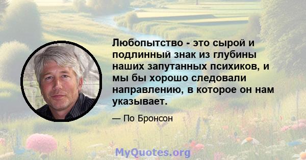 Любопытство - это сырой и подлинный знак из глубины наших запутанных психиков, и мы бы хорошо следовали направлению, в которое он нам указывает.