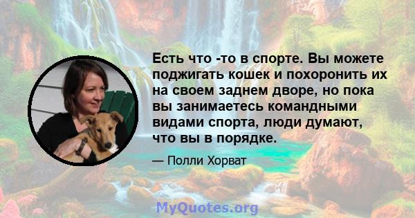 Есть что -то в спорте. Вы можете поджигать кошек и похоронить их на своем заднем дворе, но пока вы занимаетесь командными видами спорта, люди думают, что вы в порядке.