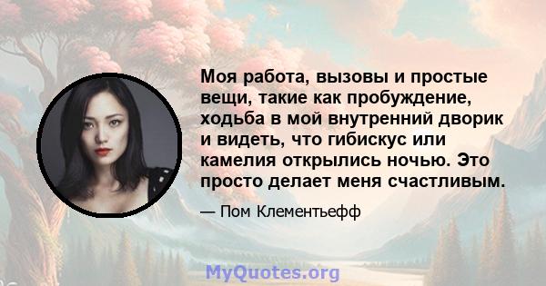 Моя работа, вызовы и простые вещи, такие как пробуждение, ходьба в мой внутренний дворик и видеть, что гибискус или камелия открылись ночью. Это просто делает меня счастливым.