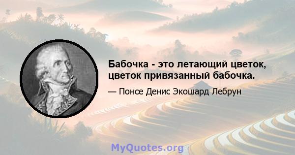 Бабочка - это летающий цветок, цветок привязанный бабочка.