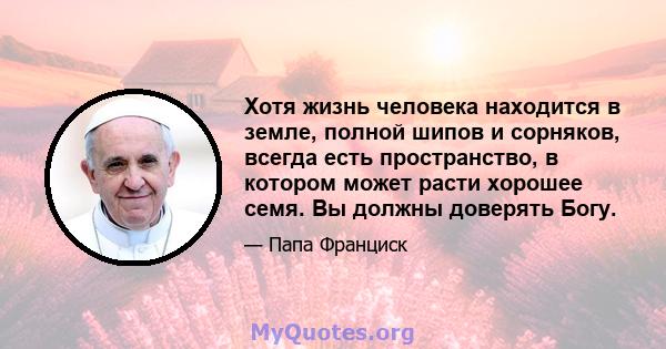 Хотя жизнь человека находится в земле, полной шипов и сорняков, всегда есть пространство, в котором может расти хорошее семя. Вы должны доверять Богу.