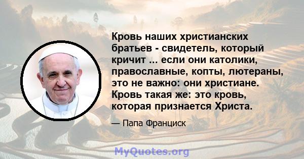 Кровь наших христианских братьев - свидетель, который кричит ... если они католики, православные, копты, лютераны, это не важно: они христиане. Кровь такая же: это кровь, которая признается Христа.