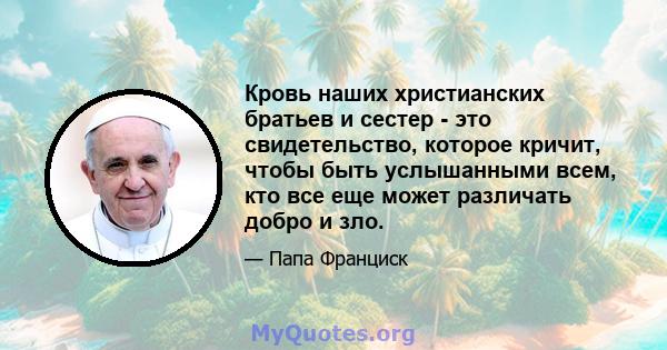 Кровь наших христианских братьев и сестер - это свидетельство, которое кричит, чтобы быть услышанными всем, кто все еще может различать добро и зло.