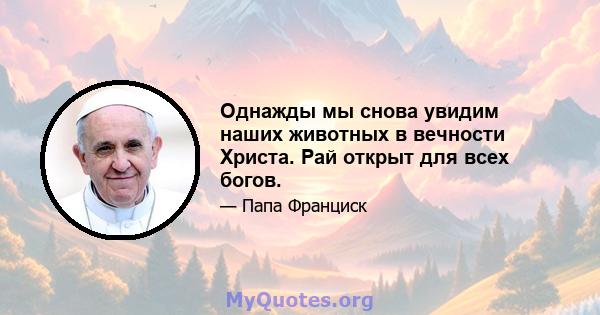 Однажды мы снова увидим наших животных в вечности Христа. Рай открыт для всех богов.