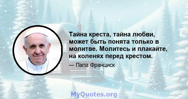 Тайна креста, тайна любви, может быть понята только в молитве. Молитесь и плакайте, на коленях перед крестом.