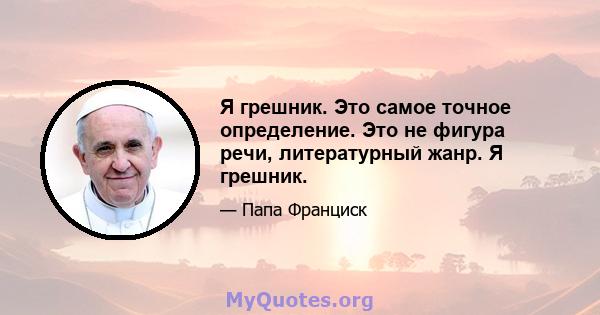 Я грешник. Это самое точное определение. Это не фигура речи, литературный жанр. Я грешник.