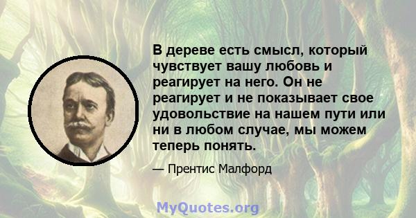 В дереве есть смысл, который чувствует вашу любовь и реагирует на него. Он не реагирует и не показывает свое удовольствие на нашем пути или ни в любом случае, мы можем теперь понять.