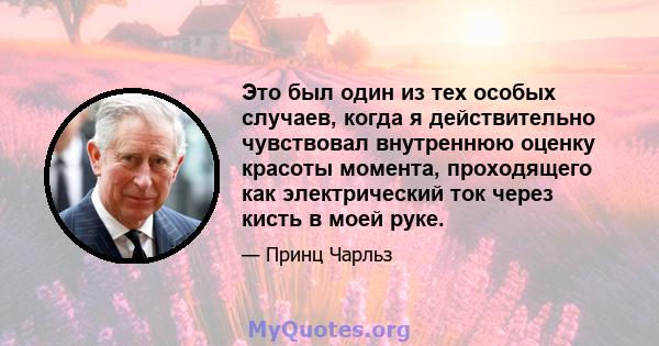 Это был один из тех особых случаев, когда я действительно чувствовал внутреннюю оценку красоты момента, проходящего как электрический ток через кисть в моей руке.