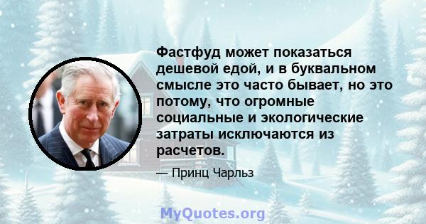 Фастфуд может показаться дешевой едой, и в буквальном смысле это часто бывает, но это потому, что огромные социальные и экологические затраты исключаются из расчетов.