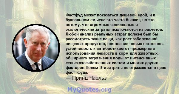 Фастфуд может показаться дешевой едой, и в буквальном смысле это часто бывает, но это потому, что огромные социальные и экологические затраты исключаются из расчетов. Любой анализ реальных затрат должен был бы