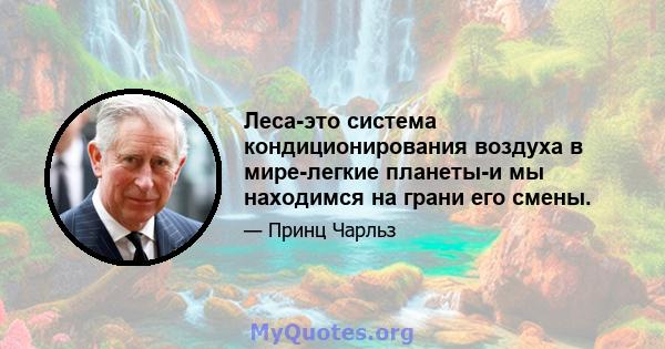 Леса-это система кондиционирования воздуха в мире-легкие планеты-и мы находимся на грани его смены.