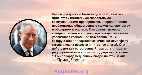 Леса мира должны быть видны за то, кем они являются - гигантскими глобальными коммунальными предприятиями, предоставляя необходимые общественные услуги человечеству в обширном масштабе. Они хранят углерод, который