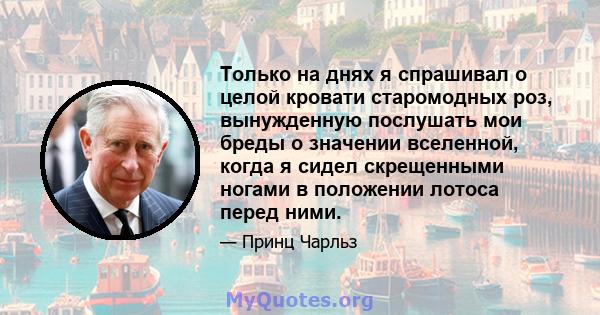 Только на днях я спрашивал о целой кровати старомодных роз, вынужденную послушать мои бреды о значении вселенной, когда я сидел скрещенными ногами в положении лотоса перед ними.