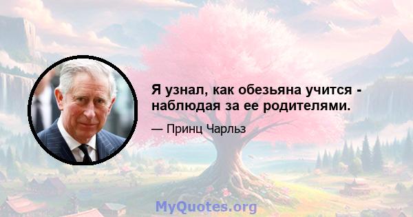 Я узнал, как обезьяна учится - наблюдая за ее родителями.