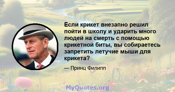 Если крикет внезапно решил пойти в школу и ударить много людей на смерть с помощью крикетной биты, вы собираетесь запретить летучие мыши для крикета?