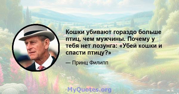 Кошки убивают гораздо больше птиц, чем мужчины. Почему у тебя нет лозунга: «Убей кошки и спасти птицу?»