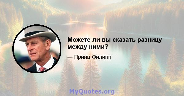 Можете ли вы сказать разницу между ними?