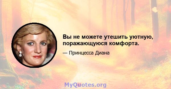 Вы не можете утешить уютную, поражающуюся комфорта.