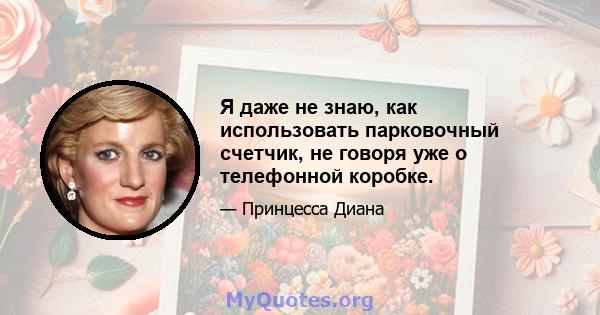 Я даже не знаю, как использовать парковочный счетчик, не говоря уже о телефонной коробке.